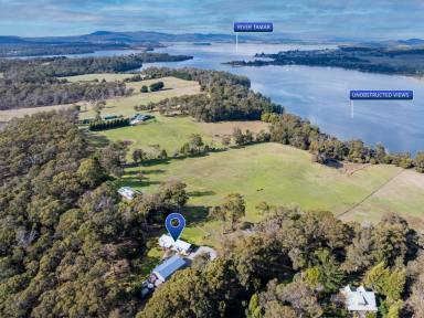 House For Sale - TAS - Clarence Point - 7270 - Perfect Lifestyle Awaits!  (Image 2)