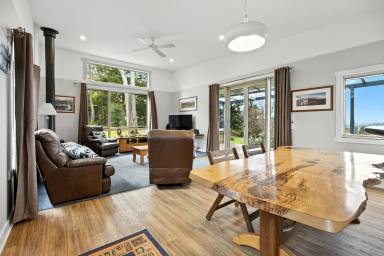 House For Sale - TAS - Clarence Point - 7270 - Perfect Lifestyle Awaits!  (Image 2)