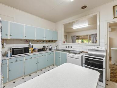 House For Lease - NSW - Young - 2594 - Country living close to town  (Image 2)