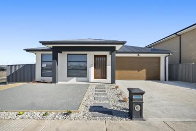 House For Sale - VIC - Alfredton - 3350 - Contemporary Living In A Prime Alfredton Location  (Image 2)