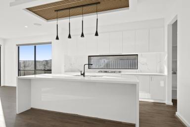 House For Sale - VIC - Alfredton - 3350 - Contemporary Living In A Prime Alfredton Location  (Image 2)
