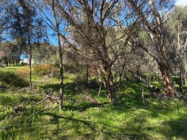 Residential Block For Sale - SA - American River - 5221 - Affordable slice of peaceful American River land, set for your Kangaroo Island retreat.  (Image 2)