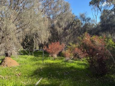 Residential Block For Sale - SA - American River - 5221 - Affordable slice of peaceful American River land, set for your Kangaroo Island retreat.  (Image 2)