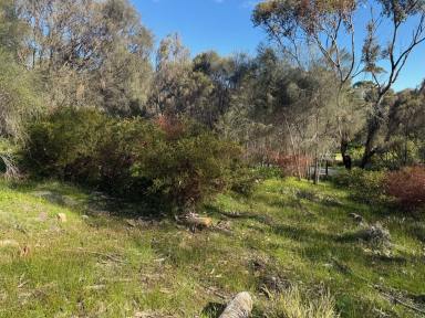 Residential Block For Sale - SA - American River - 5221 - Affordable slice of peaceful American River land, set for your Kangaroo Island retreat.  (Image 2)