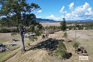 Residential Block For Sale - QLD - Widgee - 4570 - CREEK FRONT! 3.65 acres - Ready for Building!  (Image 2)