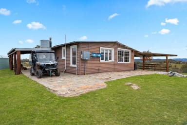 Cropping For Sale - NSW - Peelwood - 2583 - Your Weekend Escape with Views for Days  (Image 2)