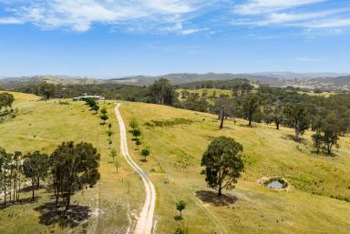 Other (Rural) For Sale - NSW - Peelwood - 2583 - Your Weekend Escape with Views for Days  (Image 2)