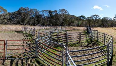 Livestock For Sale - NSW - Dundee - 2370 - Quality Eastern Grazing Block  (Image 2)