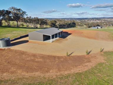Residential Block For Sale - NSW - Young - 2594 - Insert Dream Home Here  (Image 2)
