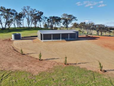 Residential Block For Sale - NSW - Young - 2594 - Insert Dream Home Here  (Image 2)