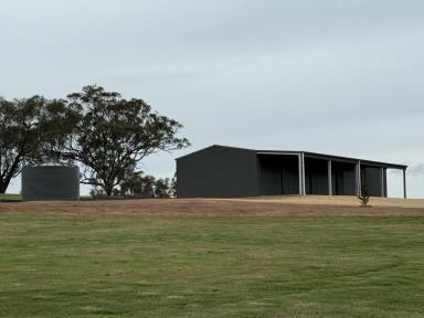 Residential Block For Sale - NSW - Young - 2594 - Insert Dream Home Here  (Image 2)