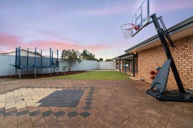 House For Sale - WA - Kiara - 6054 - Immaculate Family Living with Future Potential  (Image 2)