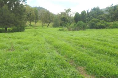 Lifestyle For Sale - NSW - Rocky River - 2372 - THE HEART OF THE STATION  (Image 2)