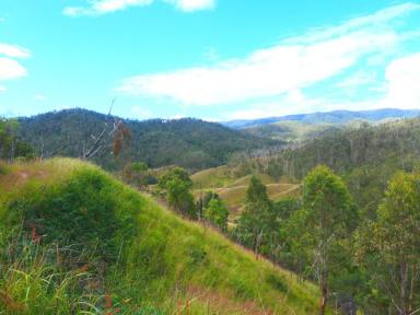 Lifestyle For Sale - NSW - Rocky River - 2372 - THE HEART OF THE STATION  (Image 2)