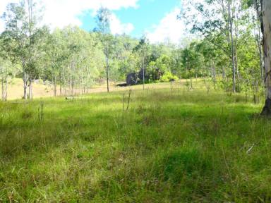 Lifestyle For Sale - NSW - Rocky River - 2372 - THE HEART OF THE STATION  (Image 2)