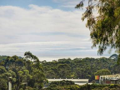 House For Sale - TAS - Devonport - 7310 - Park Yourself Here  (Image 2)
