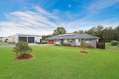 House For Sale - NSW - Clarence Town - 2321 - The Complete Package  (Image 2)