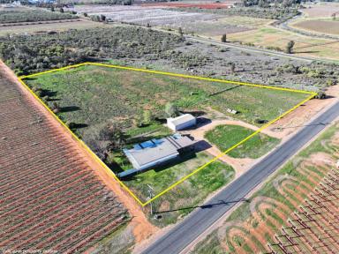House For Sale - VIC - Irymple - 3498 - VALUE, SIZE & LOCATION  (Image 2)