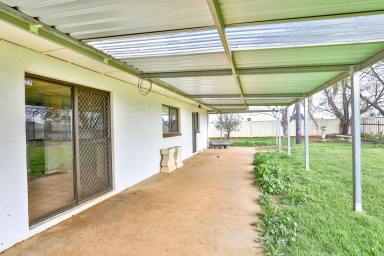House For Sale - VIC - Irymple - 3498 - VALUE, SIZE & LOCATION  (Image 2)
