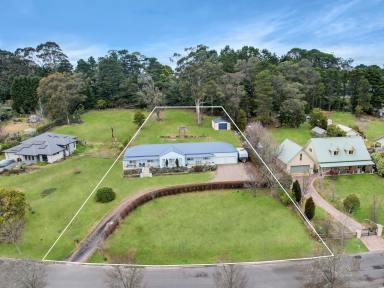 House For Sale - NSW - Bundanoon - 2578 - Spacious Family Home with Northerly Views & Village Convenience  (Image 2)