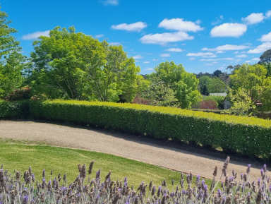 House For Sale - NSW - Bundanoon - 2578 - VENDOR SAYS SELL !! (Image 2)