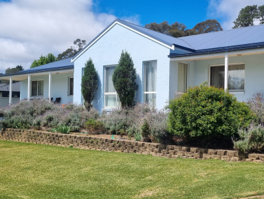 House For Sale - NSW - Bundanoon - 2578 - VENDOR SAYS SELL !! (Image 2)