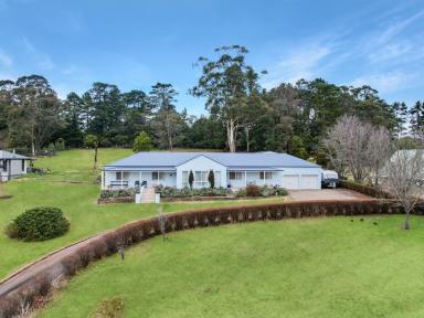 House For Sale - NSW - Bundanoon - 2578 - NEW PRICE - Motivated Vendor  (Image 2)