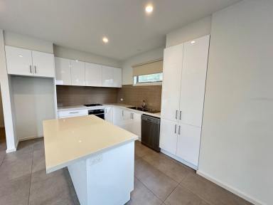 House For Lease - VIC - Essendon - 3040 - Spacious, Stylish & Perfectly Positioned Move Right In!  (Image 2)