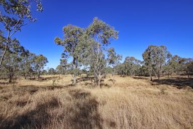 Residential Block For Sale - QLD - Kokotungo - 4702 - Baralaba Rural Lifestyle  (Image 2)