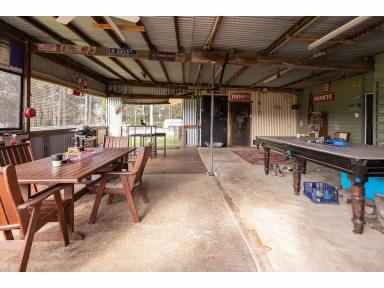 Livestock For Sale - NSW - Bulahdelah - 2423 - A Beautiful Escape at Markwell  (Image 2)