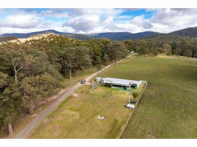 Livestock For Sale - NSW - Bulahdelah - 2423 - A Beautiful Escape at Markwell  (Image 2)