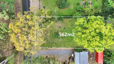 Residential Block For Sale - QLD - Macleay Island - 4184 - Flat & Mostly Cleared  (Image 2)