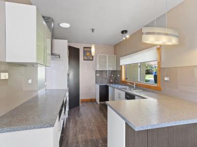 House For Sale - TAS - Ulverstone - 7315 - Investment Opportunity - Versatile North-Facing Brick Home with Potential  (Image 2)