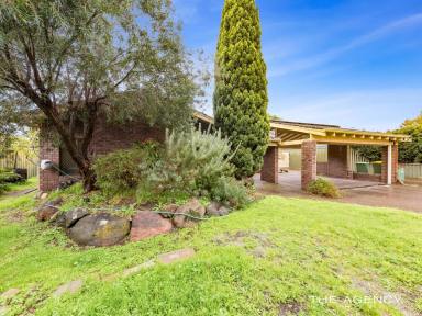 House For Sale - WA - Booragoon - 6154 - 1ST VIEWING SAT TIME TBC…NO VIEWINGS PRIOR***  (Image 2)