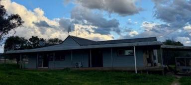 House For Lease - NSW - Duri - 2344 - 2 acres in Duri  (Image 2)