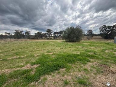 House For Lease - NSW - Duri - 2344 - 2 acres in Duri  (Image 2)