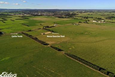 Other (Rural) For Sale - VIC - Yarram - 3971 - IDEAL LOCATION - 170 ACRES  (Image 2)
