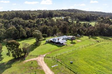 Mixed Farming For Sale - WA - Capel River - 6271 - CAPEL RIVER RETREAT  Versatile Acreage with Lifestyle Appeal  (Image 2)