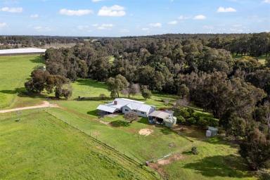 Mixed Farming For Sale - WA - Capel River - 6271 - CAPEL RIVER RETREAT  Versatile Acreage with Lifestyle Appeal  (Image 2)