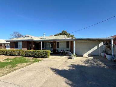 House For Sale - NSW - Moree - 2400 - SOMETHING FOR EVERYONE!  (Image 2)