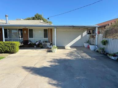 House For Sale - NSW - Moree - 2400 - SOMETHING FOR EVERYONE!  (Image 2)