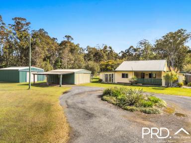 Lifestyle For Sale - NSW - Ellangowan - 2470 - Peaceful Home on 10 Acres  (Image 2)