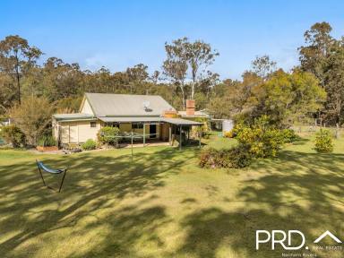 Lifestyle For Sale - NSW - Ellangowan - 2470 - Peaceful Home on 10 Acres  (Image 2)
