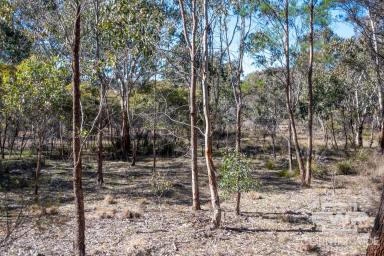 Residential Block For Sale - NSW - Emmaville - 2371 - The Perfect Camper or Weekend Base  (Image 2)