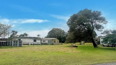 Residential Block For Sale - QLD - Macleay Island - 4184 - Flat, Cleared & Soil Test— Prime Location  (Image 2)