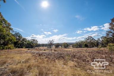 Lifestyle For Sale - NSW - Torrington - 2371 - Rural Lifestyle Property  (Image 2)