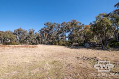 Lifestyle For Sale - NSW - Torrington - 2371 - Rural Lifestyle Property  (Image 2)