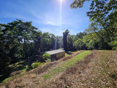 Residential Block For Sale - QLD - Cooktown - 4895 - Privacy, Potential & Value on 4.2 Acres of Rainforest Tranquillity  (Image 2)