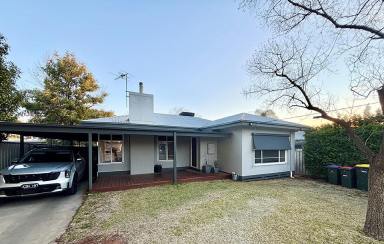 House Sold - VIC - Mildura - 3500 - Stunning First Home/Investment  (Image 2)