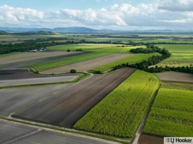 Commercial Farming For Sale - QLD - El Arish - 4855 - Approx. 98 Acres of Prime Rural Farming Land  (Image 2)